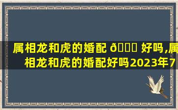 属相龙和虎的婚配 🐞 好吗,属相龙和虎的婚配好吗2023年7月6号的天干地支